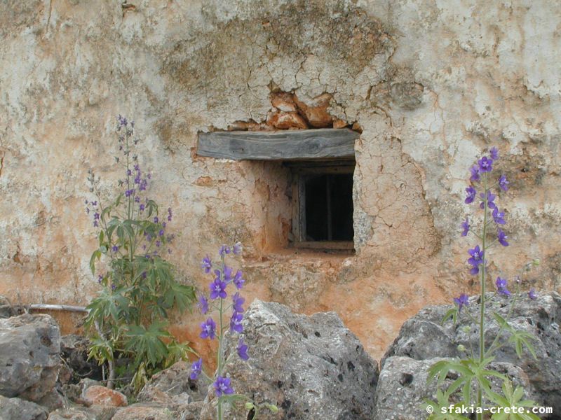 Photo report of a stay in and around Sfakia and Crete, May 2008